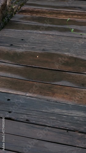 Closeup of Glossy, Wet Wooden Bridge with Aged Wood Texture After Rain