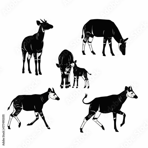 High quality okapi silhouette set featuring the rare african forest animal in clean vector style designed for posters prints logos and digital art projects