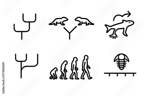 Paleontology Line Icons. Line style icons of paleontology: evolution tree, species divergence, transitional fossil, ancestor