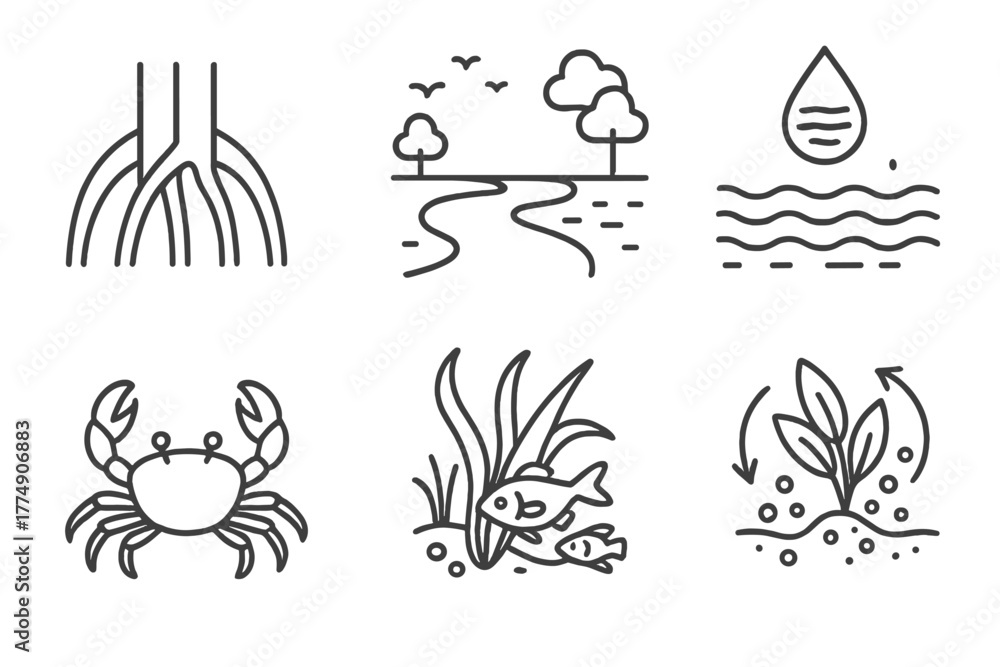 Obraz premium Marine Biology Icons. Line style icons of marine biology: mangrove roots, estuary zone, brackish water, mudflat crab, juvenile