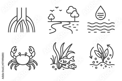 Marine Biology Icons. Line style icons of marine biology: mangrove roots, estuary zone, brackish water, mudflat crab, juvenile