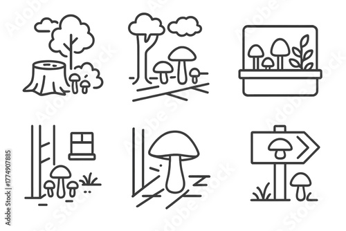 Urban Mushroom Icons. Line style icons of Urban Mushroom Foraging: city park tree stump, shaded sidewalk fungi, garden bed