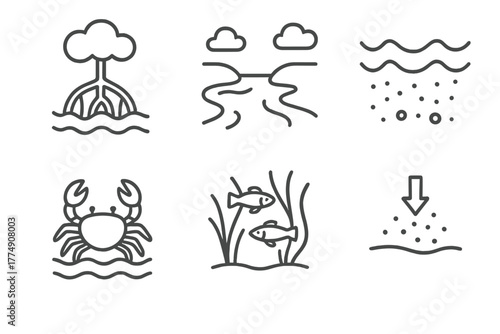 Marine Biology Icons. Line style icons of marine biology: mangrove roots, estuary zone, brackish water, mudflat crab, juvenile