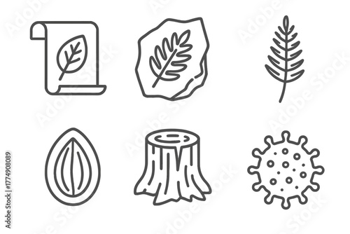 Paleontology Icon Collection. Line style icons of paleontology: paleobotany icon, fossil leaf print, ancient fern, seed fossil,