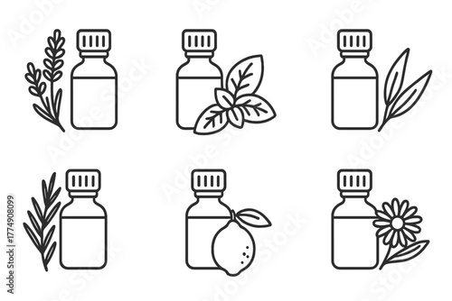Essential Oil Icons. Line style icons of essential oil types: lavender oil, peppermint oil, eucalyptus oil, tea tree oil, lemon