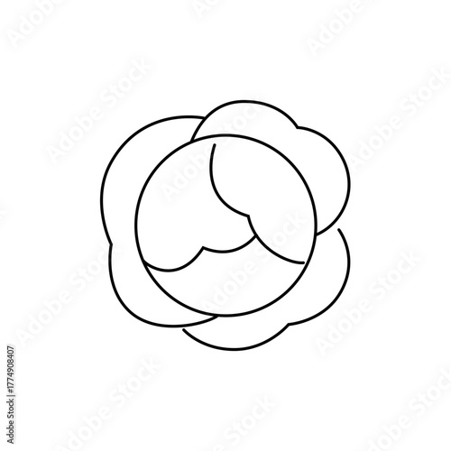 A simple line drawing of a cabbage head with overlapping leaves in a circular arrangement design style