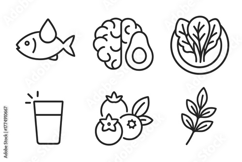Neuroplasticity Boosting Icons. Line style icons of diet supporting neuroplasticity: omega-3 food icon, brain with avocado, leafy