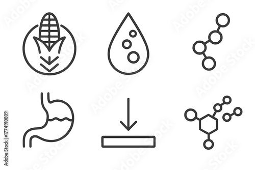 Nutrient Breakdown Icons. Line style icons of Nutrient Breakdown: carbohydrate breakdown, lipid droplet, amino acid chain,