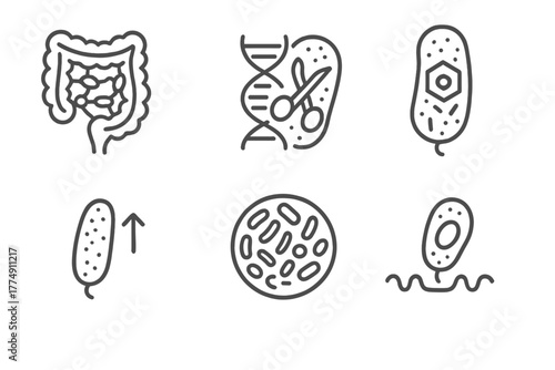 Microbiome Engineering Icons. Line style icons of Microbiome Engineering: gut bacteria network, DNA editing tool on microbe,