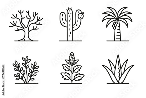 Desert Plant Line Icons. Line style icons of desert crops and plants: drought-resistant tree, cactus with fruit, date palm, desert