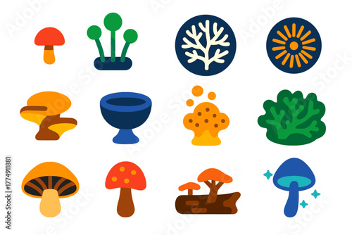 Fungal Growth Icons. Flat vector icons of Fungal Growth: tiny mushroom, mold cluster, white mycelium, spore print, bracket fungus,