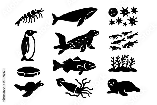 Antarctic Food Web Icons. Solid style icons of Antarctic food web: krill, baleen whale, leopard seal, phytoplankton, emperor