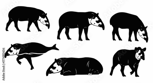 Minimal tapir silhouette set featuring standing and walking rainforest poses isolated on white background for modern wildlife design use