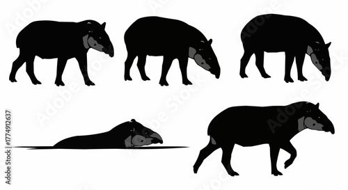 Minimal tapir silhouette set featuring standing and walking rainforest poses isolated on white background for modern wildlife design use