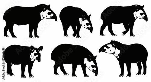 Minimal tapir silhouette set featuring standing and walking rainforest poses isolated on white background for modern wildlife design use