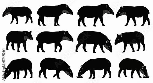 Minimal tapir silhouette set featuring standing and walking rainforest poses isolated on white background for modern wildlife design use