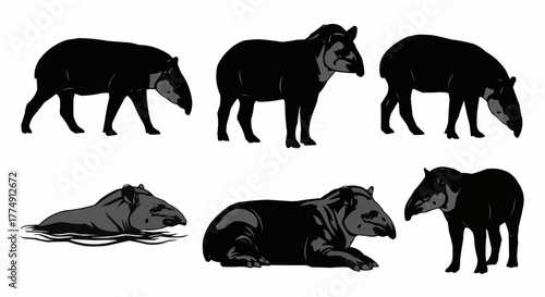 Minimal tapir silhouette set featuring standing and walking rainforest poses isolated on white background for modern wildlife design use