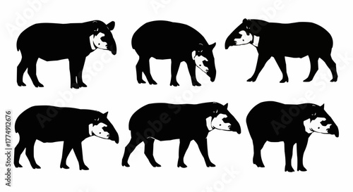 Minimal tapir silhouette set featuring standing and walking rainforest poses isolated on white background for modern wildlife design use