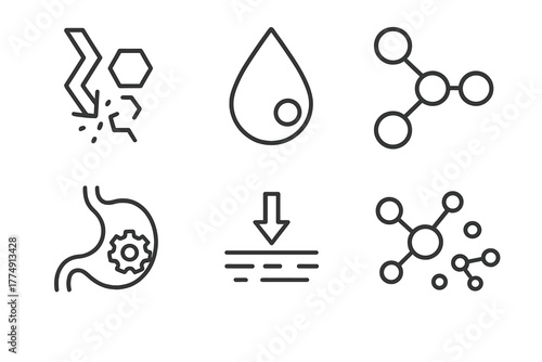 Nutrient Breakdown Icons. Line style icons of Nutrient Breakdown: carbohydrate breakdown, lipid droplet, amino acid chain,