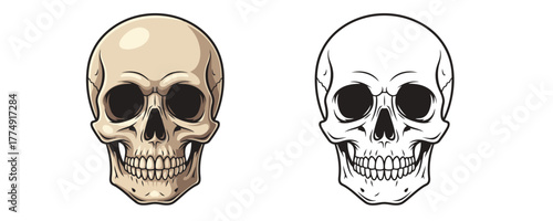Stylized human skull illustration in a beige and brown cartoon style and a black outline drawing isolated on a white background for design element