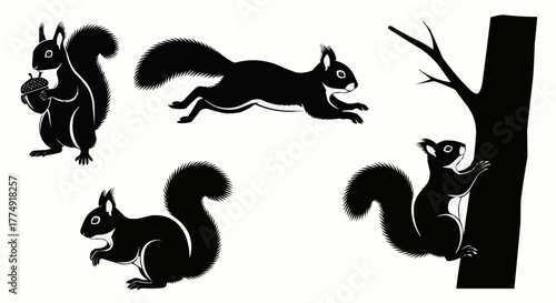 Cute squirrel silhouette set showing sitting and nut holding poses isolated on white background for modern wildlife design use
