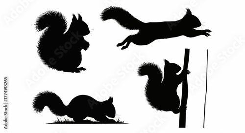 Cute squirrel silhouette set showing sitting and nut holding poses isolated on white background for modern wildlife design use