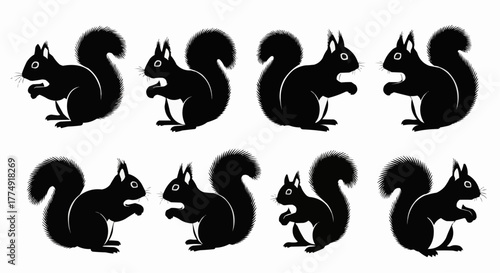 Cute squirrel silhouette set showing sitting and nut holding poses isolated on white background for modern wildlife design use