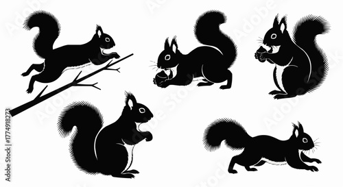 Cute squirrel silhouette set showing sitting and nut holding poses isolated on white background for modern wildlife design use