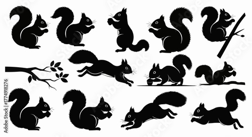 Cute squirrel silhouette set showing sitting and nut holding poses isolated on white background for modern wildlife design use