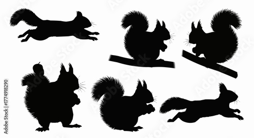 Cute squirrel silhouette set showing sitting and nut holding poses isolated on white background for modern wildlife design use