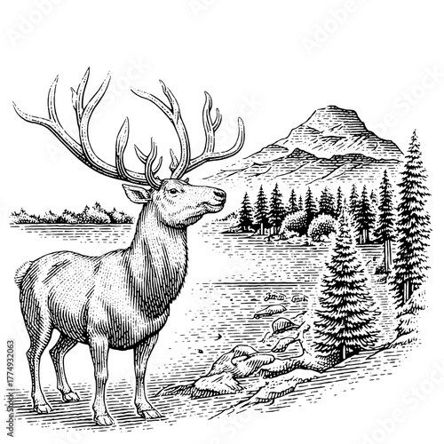 Engraved illustration of a majestic stag standing by a serene lake in a tranquil mountainous landscape