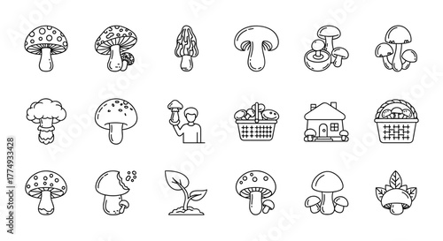 Collection of 15 unique mushroom-themed line icons, featuring various mushroom types, a person holding a mushroom, a basket full of mushrooms, a mushroom house, and a sprouting plant, all rendered in