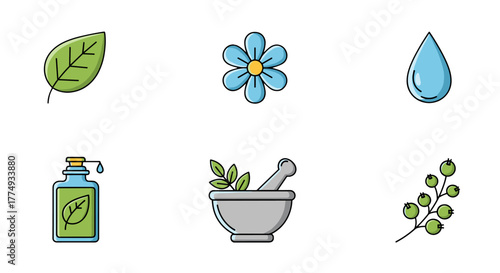 A collection of six flat design icons representing natural elements and wellness, including a green leaf, a blue flower, a water droplet, a bottle of essential oil, a mortar and pestle with herbs