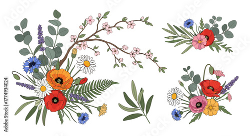 Vibrant hand-drawn floral arrangements featuring colorful wildflowers like poppies, daisies, cornflowers, and lavender, complemented by elegant branches with delicate pink blossoms and lush