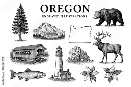Explore Oregon through a stunning set of engraved illustrations showcasing its natural beauty and wildlife