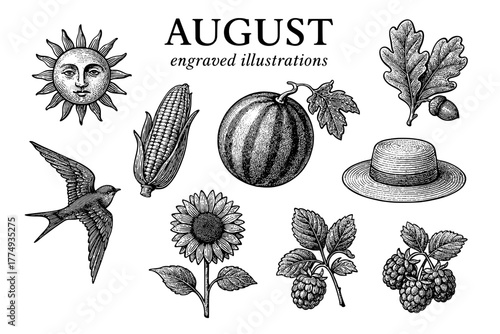 Engraved illustrations celebrating the beauty and bounty of August with nature's harvest and seasonal symbols
