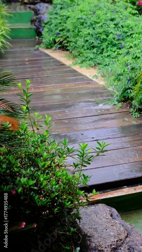 Scenic Wooden Bridge or Walkway with Ornamental Plants During Rainy Weather