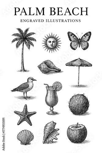 Engraved illustrations of palm beach scenes showcasing nature and relaxation in a unique vector art bundle