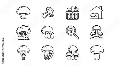 A collection of 16 unique mushroom-related line icons, presented as outline signs perfect for graphic and web design, app interfaces, advertisements, and various card designs, rendered as a vector