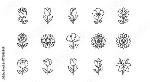 Collection of simple, isolated line art flower icons with editable strokes, suitable for web, books, cards, and apps. This vector cartoon illustration features a variety of floral designs, including