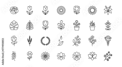 Collection of 30 elegant floral and botanical line icons, perfect for decoration, design projects, and branding. Includes roses, tulips, sunflowers, lilies, monstera leaves, potted plants, and