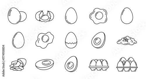 Collection of Vivid Egg Outline Illustrations, Perfect for Infographics, Articles, Books, Flyers, and Banners. This Editable Stroke Vector Cartoon Illustration Features a Clean White Background