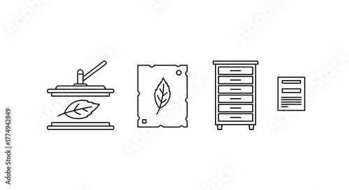 Botanical specimen preservation outline icon set: includes a plant press for drying leaves, a dried herb sheet with a leaf illustration, a herbarium cabinet for storage, and a label, representing the