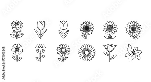 Collection of simple, isolated line art flower icons with editable strokes, suitable for web, books, cards, and apps, presented as vector cartoon illustrations on a white background, showcasing