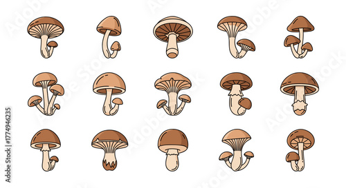 A collection of 15 distinct mushroom icons, presented in a clean, thin-line, outline style, perfect for graphic and web design, app interfaces, advertising materials, and various card designs