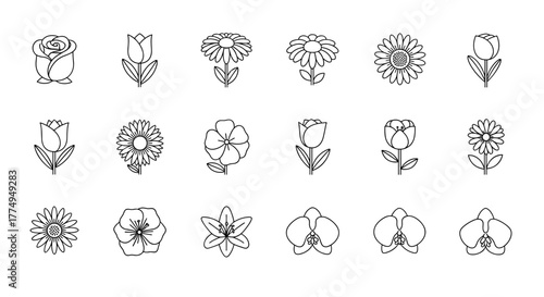 Collection of simple, linear, outline flower illustrations, including roses, tulips, daisies, and orchids, with editable strokes, suitable for web, books, cards, and apps, presented as vector cartoon