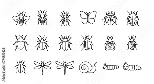 A vibrant and versatile collection of simple insect icons, featuring editable strokes, perfect for enhancing infographics, articles, books, flyers, and banners with a clean, cartoon-style vector