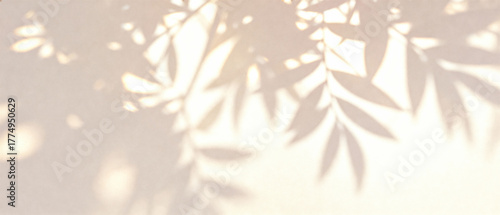 Subtle shadows of leaves on soft, neutral background in daylight  