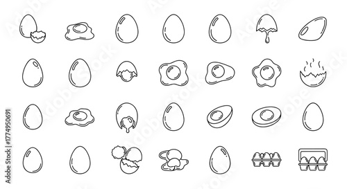 Collection of outline illustrations of eggs in various states: whole, cracked, fried, and in cartons, perfect for infographics, articles, books, flyers, and banners, rendered in a clean vector