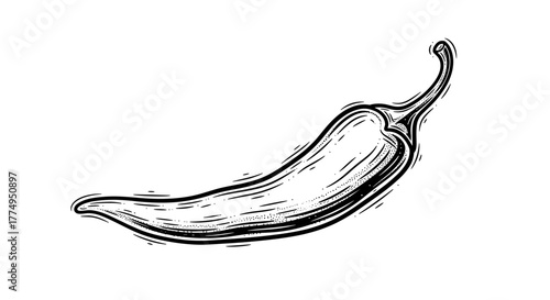 Vintage black and white illustration of a chili pepper, a retro hand-drawn vector graphic with a textured, sketchy style on a black background, perfect for culinary themes, spice, and Mexican food
